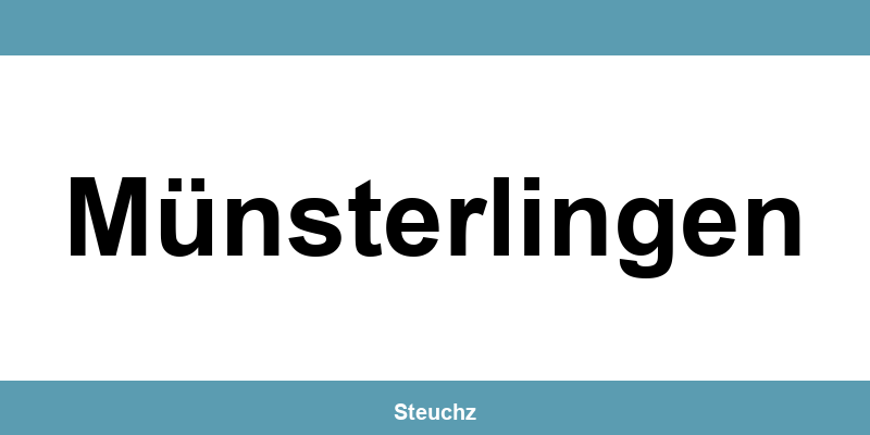 Kontakt und Telefonnummer des Steueramt in Münsterlingen