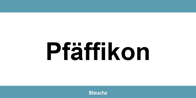 Kontakt und Telefonnummer des Steueramt in Pfäffikon