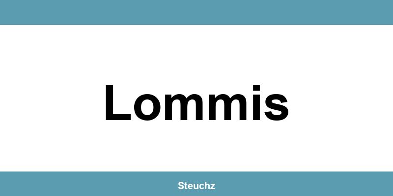 Kontakt und Telefonnummer des Steueramt in Lommis